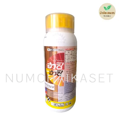 [C3TJ0289] ฮาชิ ฮาชิ 500cc