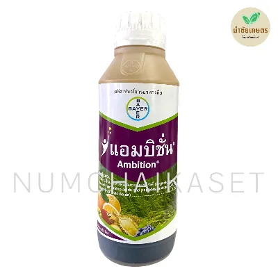 แอมบิชั่น 1 ลิตร
