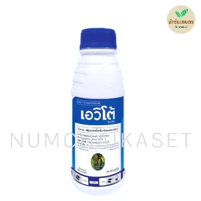 เอวิโต้ 500cc