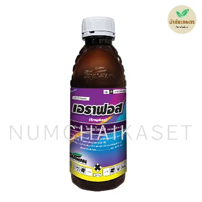 เอราฟอส 1 ลิตร