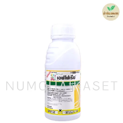 [C3SY0580] เอฟโฟเรีย 500cc