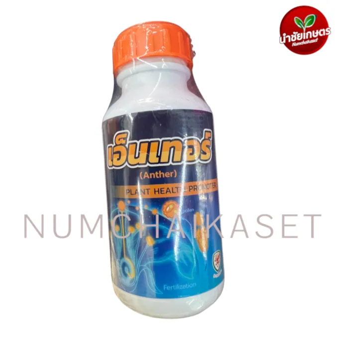[C4RG0553] เอ็นเทอร์ (Anther) 500cc