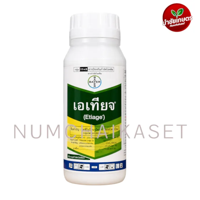 เอเทียจ 500cc