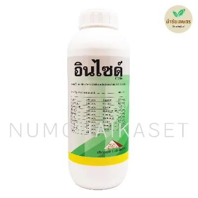 อินไซด์ 1 ลิตร