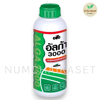 อัลก้า 3000 1 ลิตร
