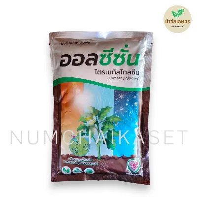 ออลซีซั่น 500g