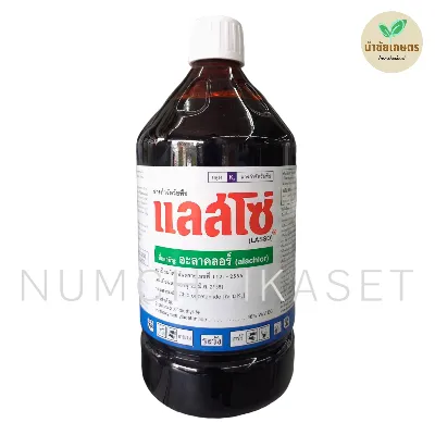 แลสโซ่ 1 ลิตร
