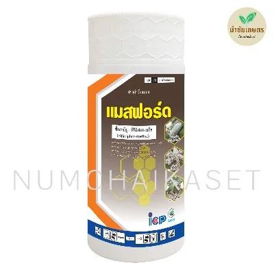แมสฟอร์ด 1 ลิตร