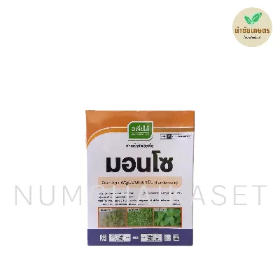 มอนโซ 50g