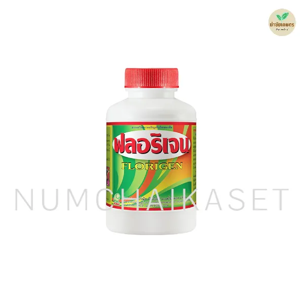 [C4QY0040] ฟลอริเจน 100cc