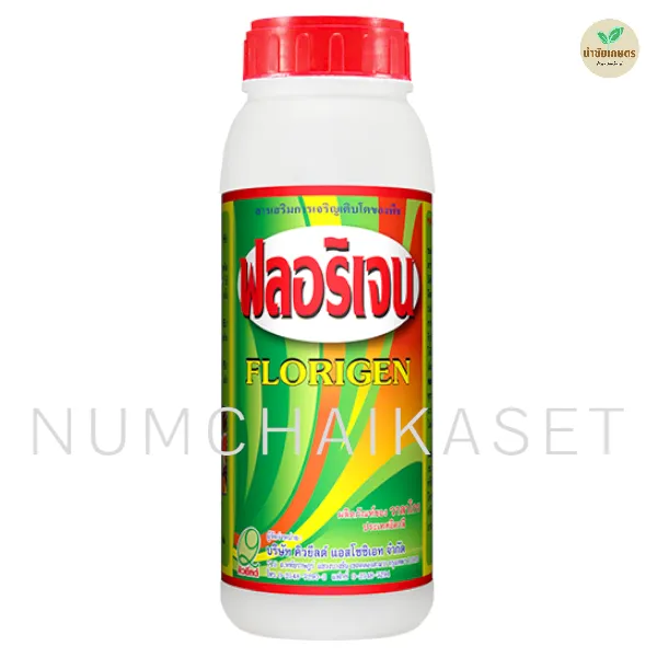 ฟลอริเจน 1 ลิตร
