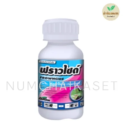 [C2EW0344] ฟราวไซด์ 500cc