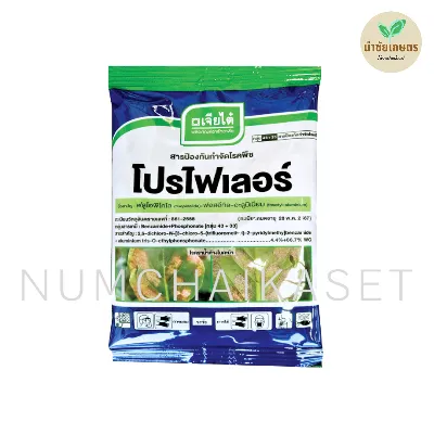 โปรไฟเลอร์ 100g