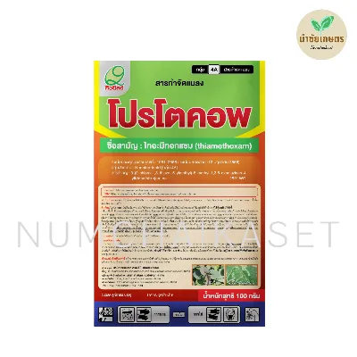 โปรโตคอพ 100g