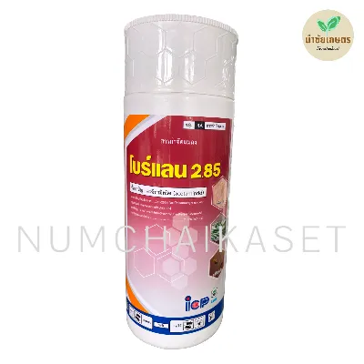 โบร์แลน 1 ลิตร
