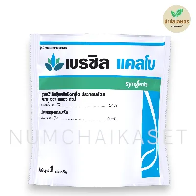 เบรซิล แคลโบ 1kg