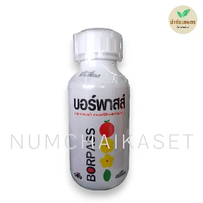 [C4EW0215] บอร์พาสส์ 500cc
