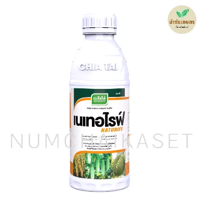 เนเทอไรฟ์ 1 ลิตร