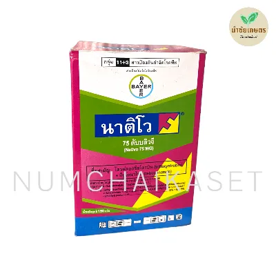 [C2BY0128] นาติโว 15g