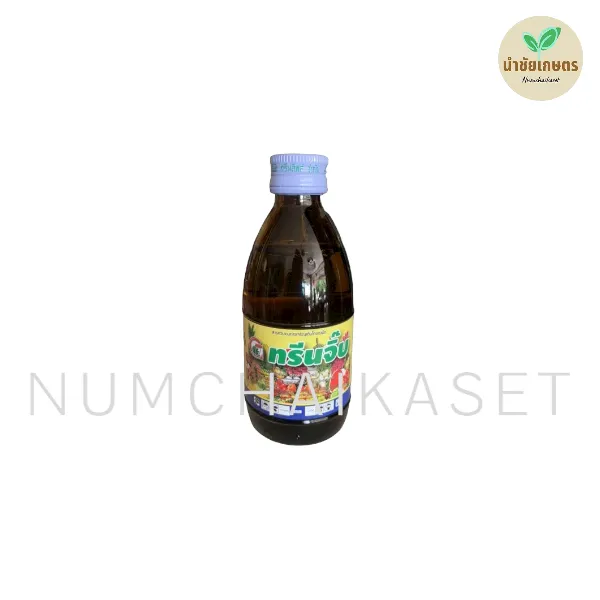 [C5GR0026] ทรีนจิ๊บ 100cc
