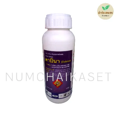 [C2AR0329] ดาบินา 500cc