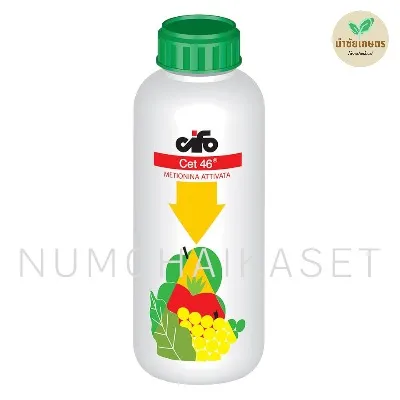 เซ็ท 46 1 ลิตร