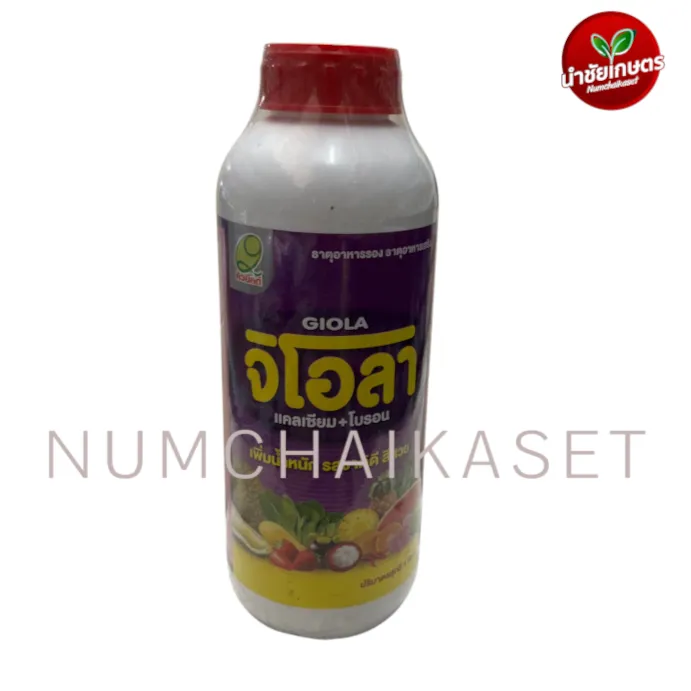[C4QY0345] จิโอลา 1 ลิตร (Ca+B)
