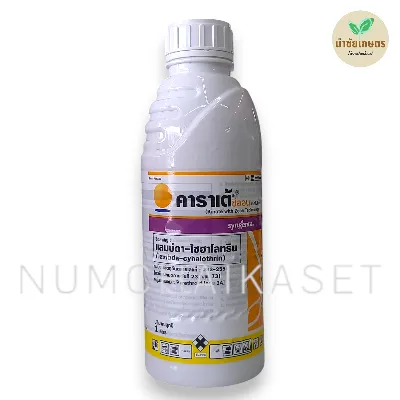 [C3SY0582] คาราเต้ วิท ซีออน 2.5CS 1 ลิตร