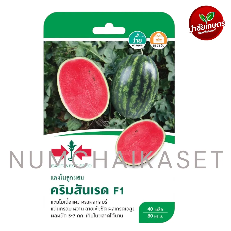 [S0714GG] GG แตงโม คริมสันเรด F1