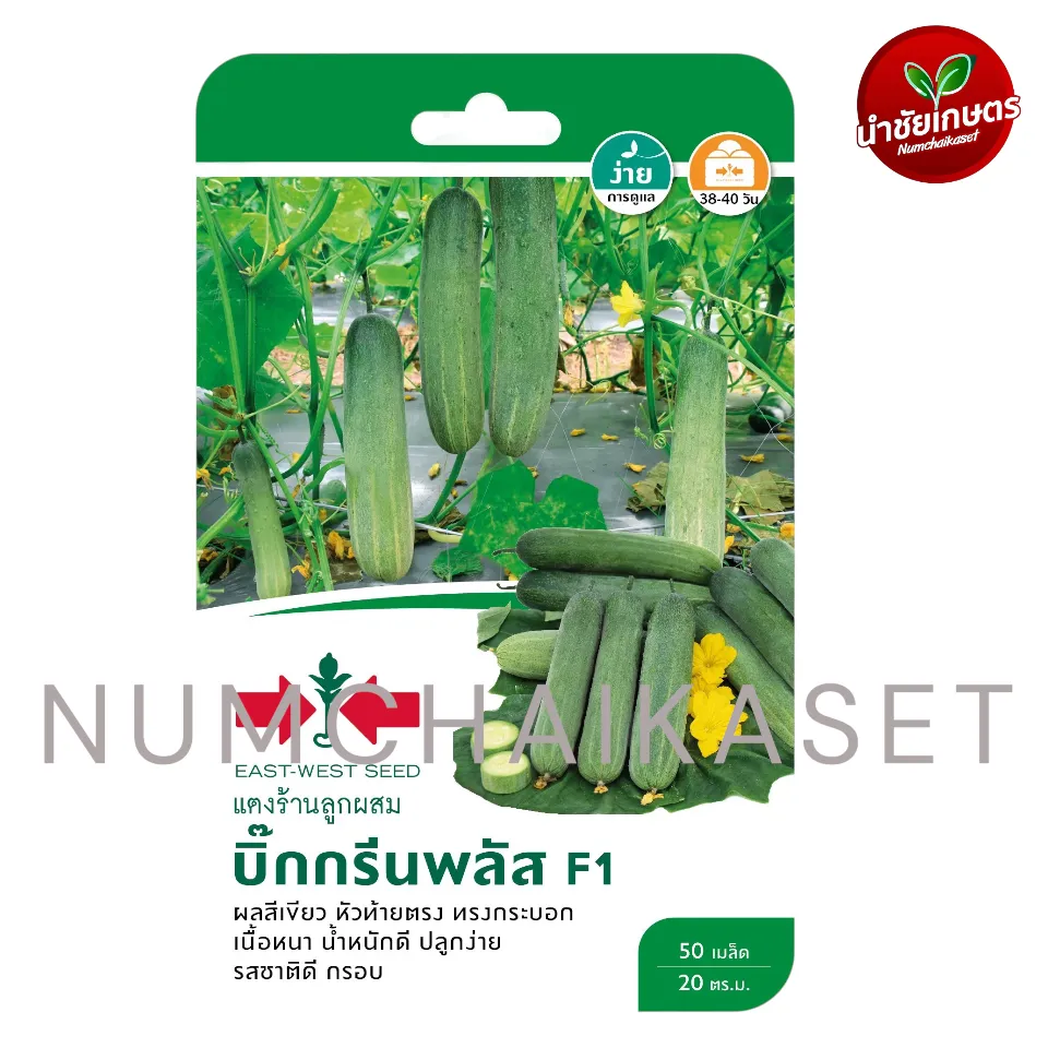 [S0068GG] GG แตงร้าน F1 บิ๊กกรีนพลัส