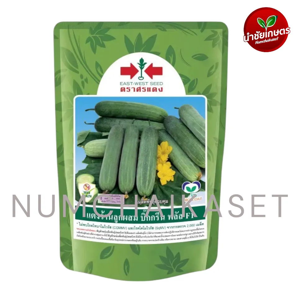 [S0632BP] BP แตงร้าน บิ๊กกรีนพลัส F1 100g