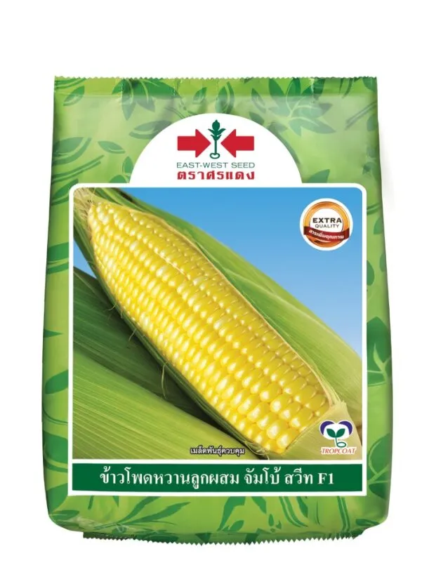 [S0008BP] BP ข้าวโพดหวาน F1 จัมโบ้ สวีท 5TS
