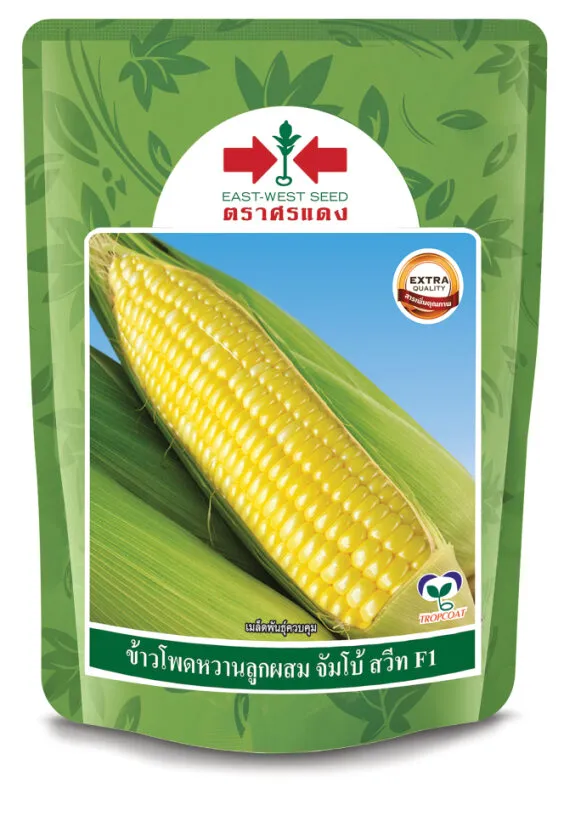 [S0007BP] BP ข้าวโพดหวาน F1 จัมโบ้ สวีท 1TS