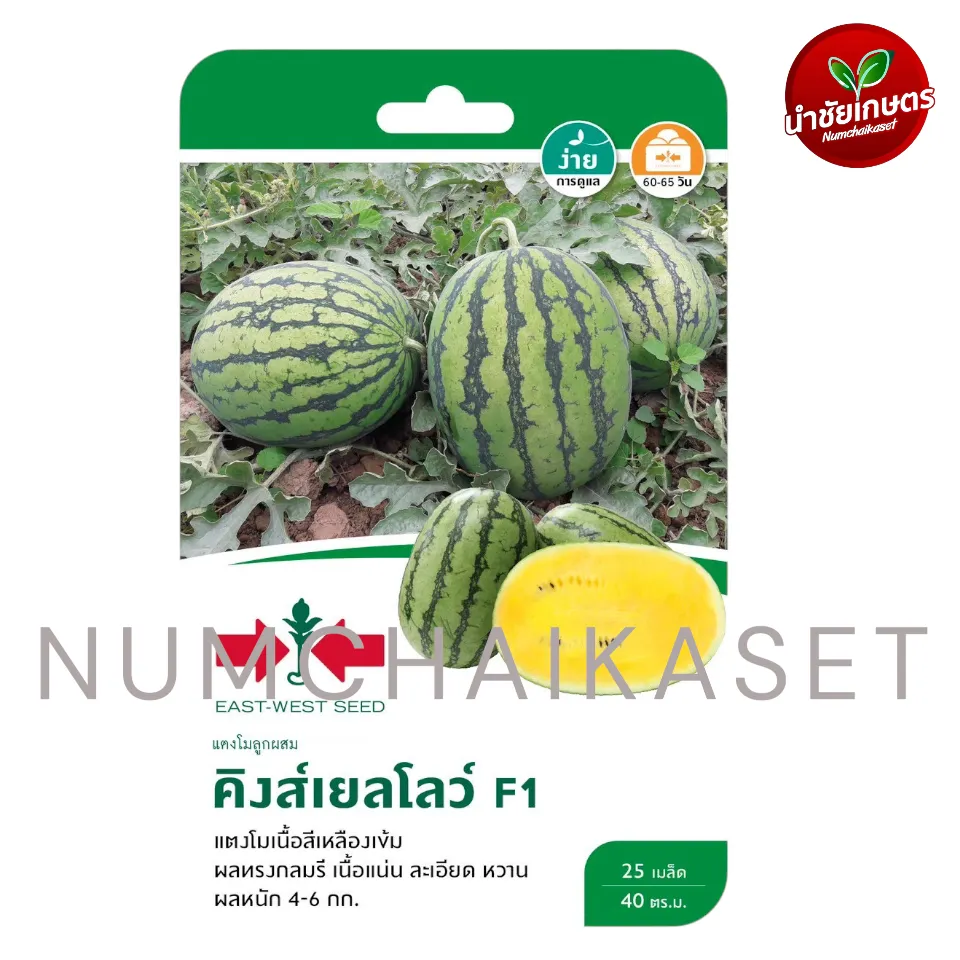 [S0062GG] GG แตงโม F1 คิงส์เยลโล่ว์