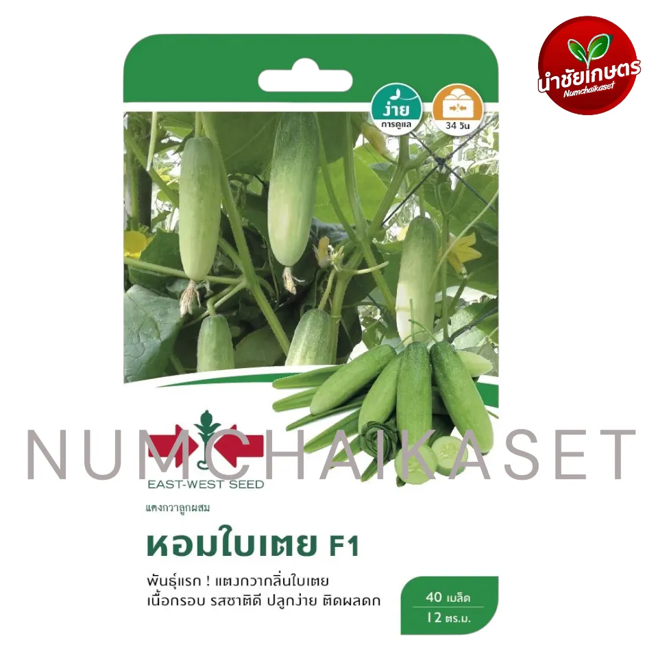 [S0058GG] GG แตงกวา F1 หอมใบเตย