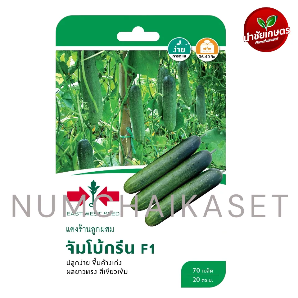 [S0066GG] GG แตงร้าน F1 จัมโบ้กรีน
