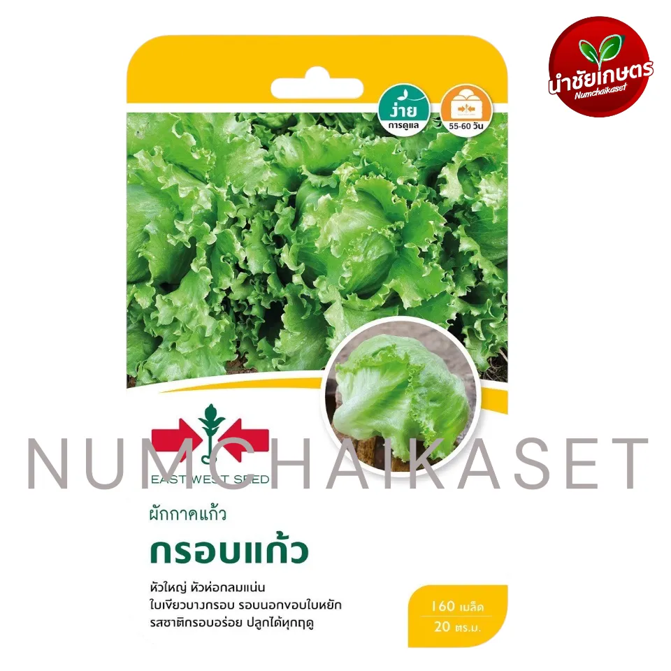 GG ผักกาดแก้ว กรอบแก้ว