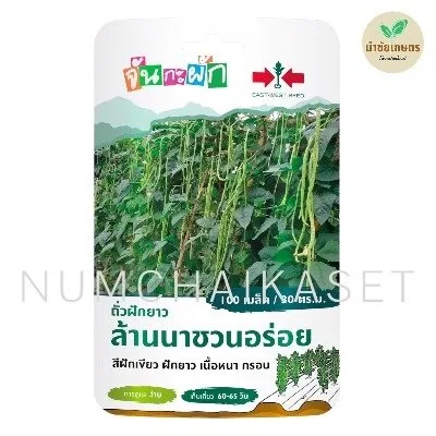 [S0073GG] GG ถั่วฝักยาวล้านนาชวนอร่อย