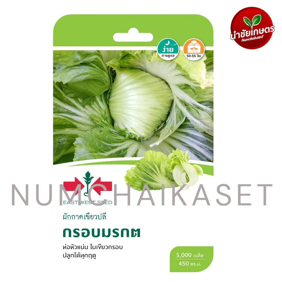 [S0097GG] GG ผักกาดเขียวปลีกรอบมรกต