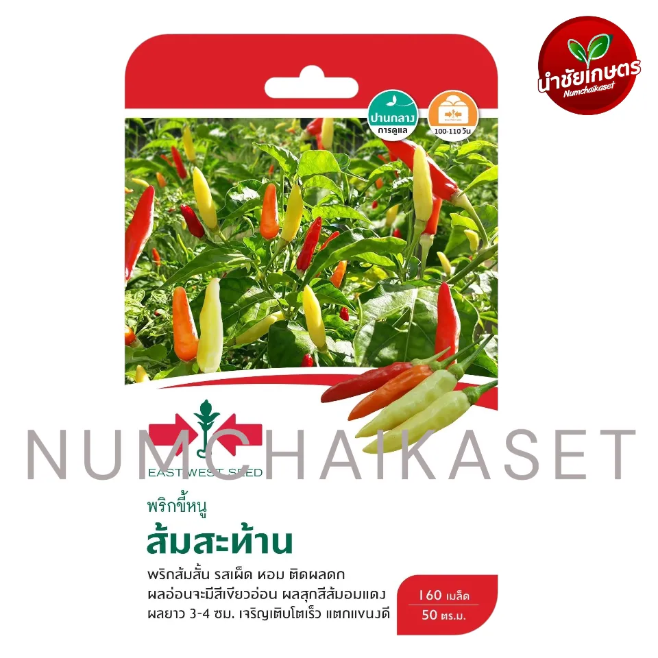 GG พริกขี้หนูส้มสะท้าน