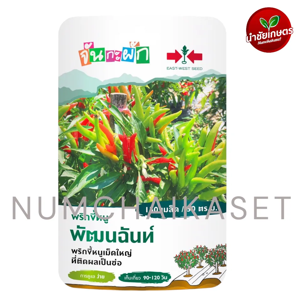 GG พริกขี้หนูพัฒนฉันท์