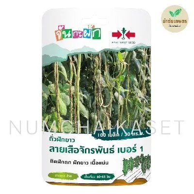 [S0074GG] GG ถั่วฝักยาวลายเสือจักรพันธ์ เบอร์1