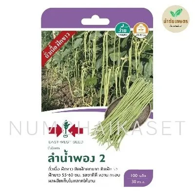 [S0076GG] GG ถั่วฝักยาวลำน้ำพอง2
