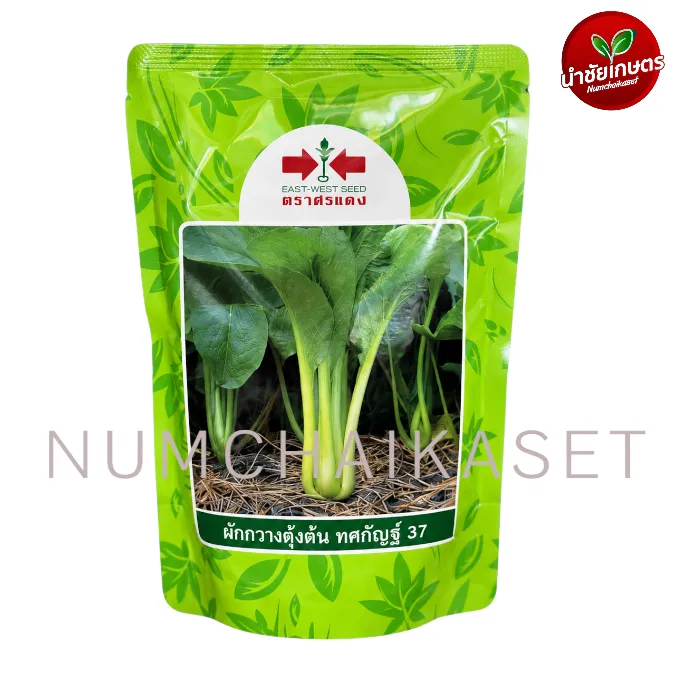 [S0022BP] BP ผักกาดกวางตุ้งต้นทศกัณฐ์ 100g