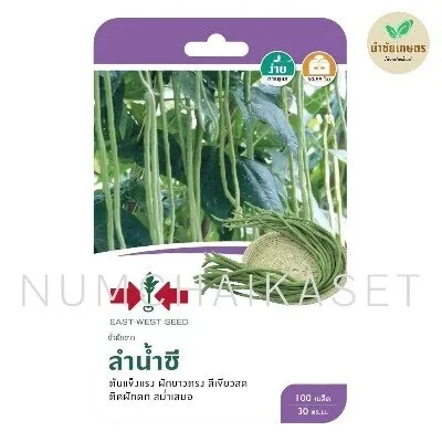 [S0075GG] GG ถั่วฝักยาวลำน้ำชีพลัส