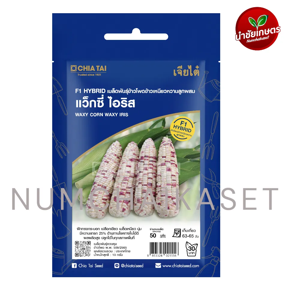 SE ข้าวโพดเหนียวหวาน แว็กซี่ ไอริส