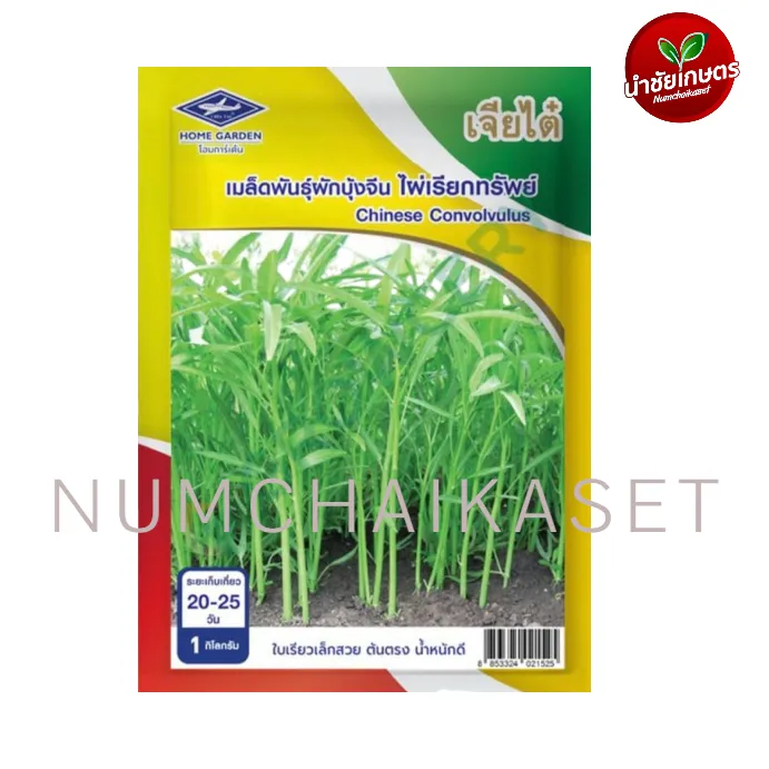 [S0639KG] CT ผักบุ้งจีน ไผ่เรียกทรัพย์ 1Kg
