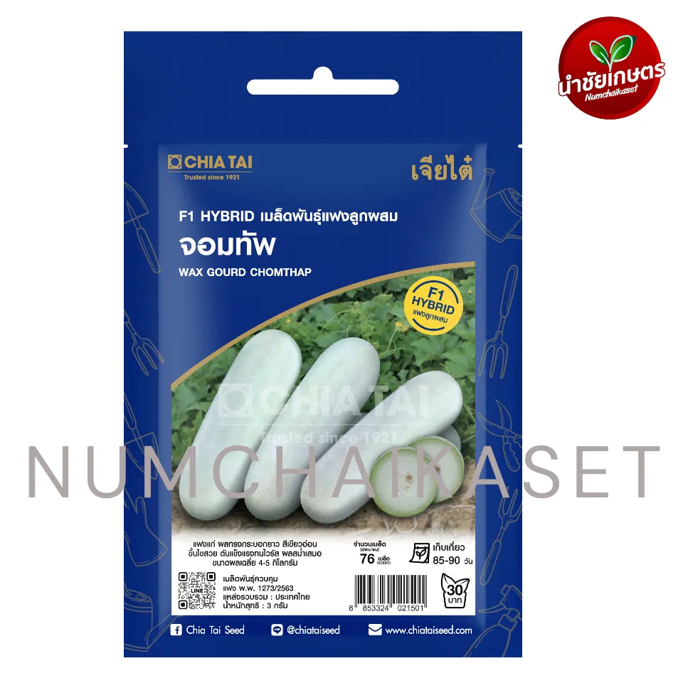 SE แฟง จอมทัพ 2g