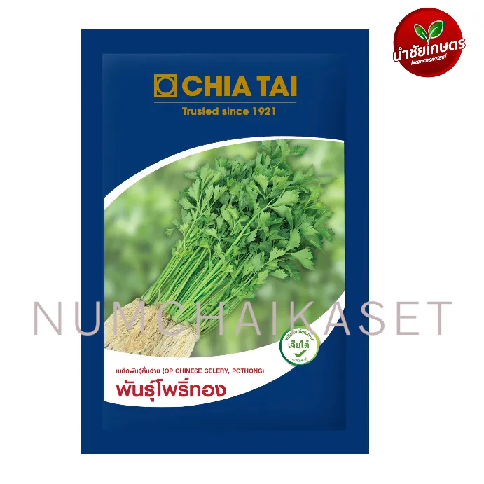 SE คื่นฉ่ายโพธิ์ทอง 6g