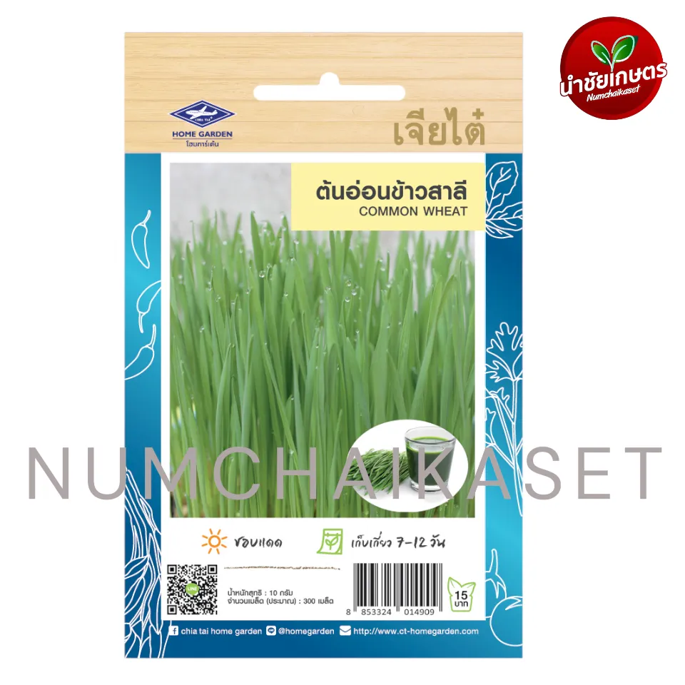 HG ข้าวสาลี 10g(สก.รูปแมว)